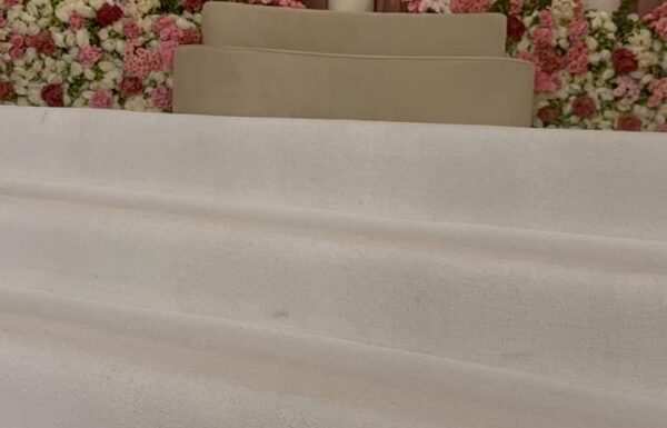 فندق تاج سيلين الشرفية