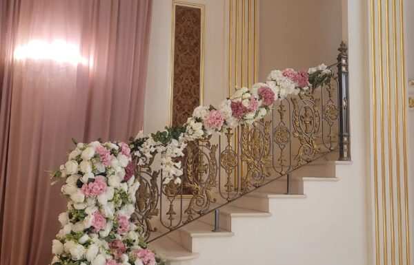 فندق تاج سيلين الشرفية