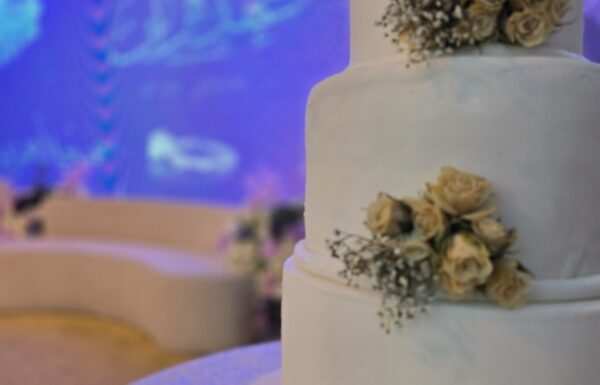 فندق تاج سيلين الشرفية