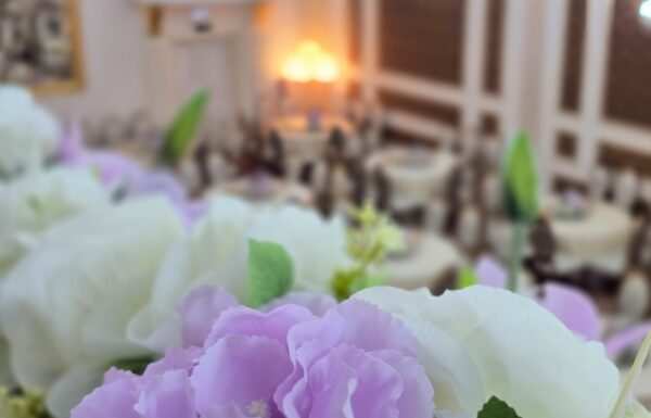 فندق تاج سيلين الشرفية